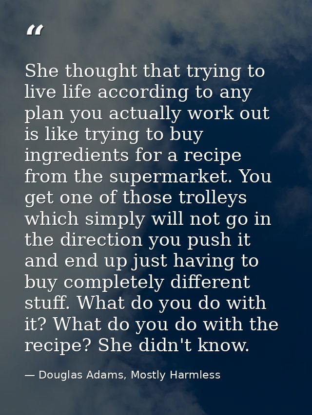 She thought that trying to live life according to any plan you actually work out is like trying to buy ingredients for a — Douglas Adams, Mostly Harmless