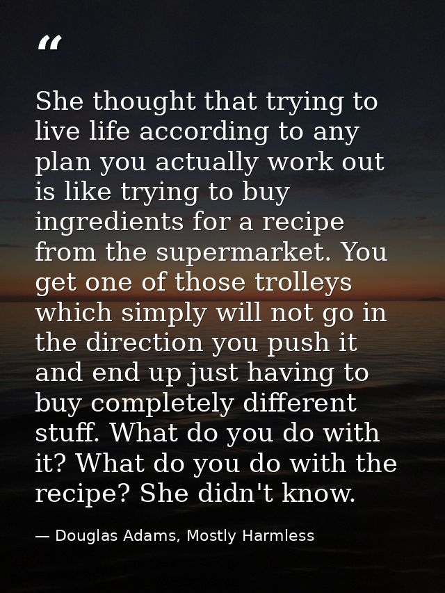 She thought that trying to live life according to any plan you actually work out is like trying to buy ingredients for a — Douglas Adams, Mostly Harmless