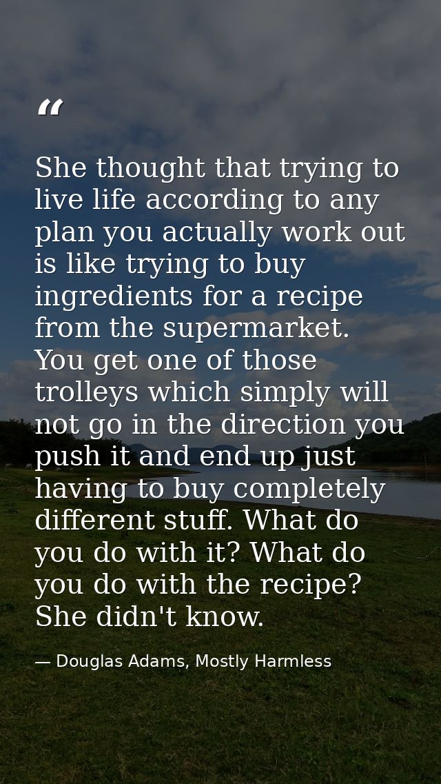 She thought that trying to live life according to any plan you actually work out is like trying to buy ingredients for a — Douglas Adams, Mostly Harmless