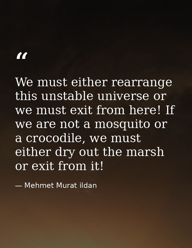 We must either rearrange this unstable universe or we must exit from here! If we are not a mosquito or a crocodile, we m — Mehmet Murat ildan