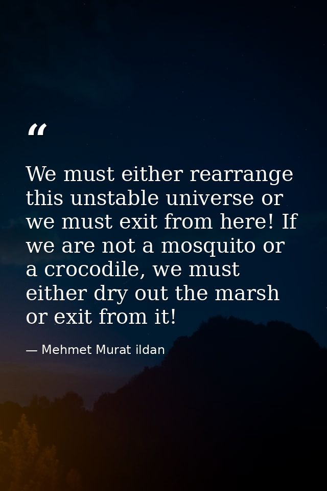 We must either rearrange this unstable universe or we must exit from here! If we are not a mosquito or a crocodile, we m — Mehmet Murat ildan