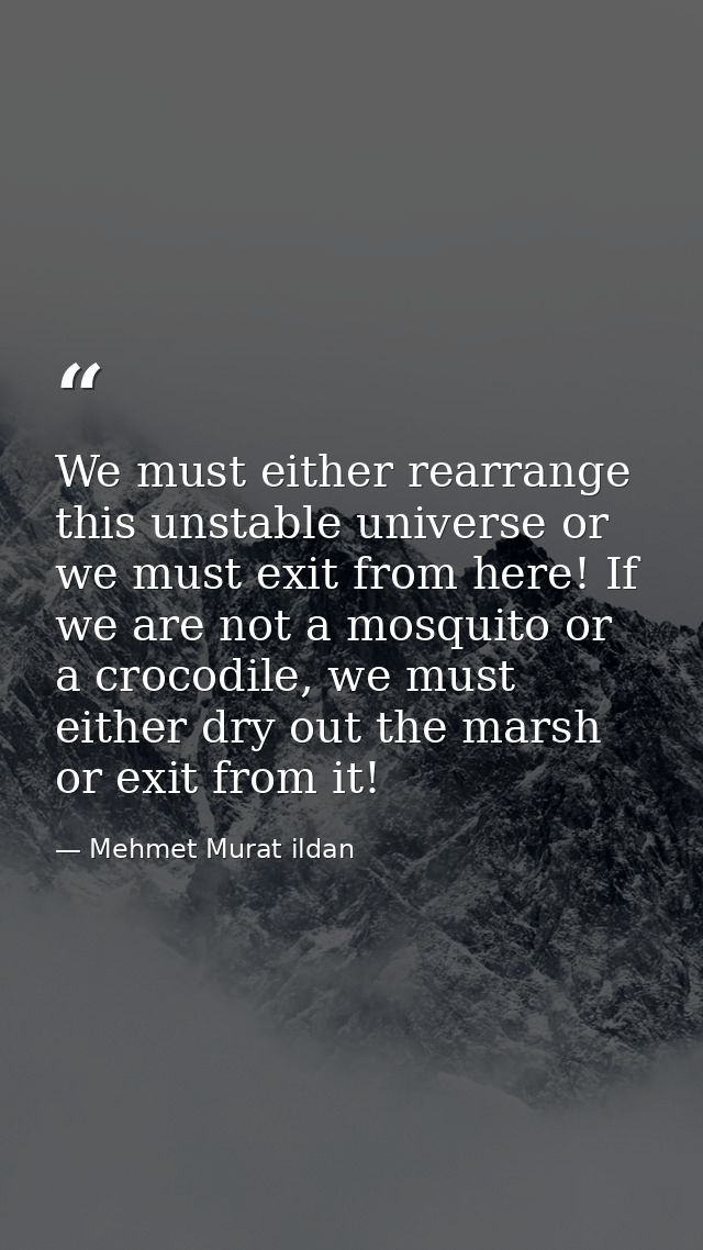 We must either rearrange this unstable universe or we must exit from here! If we are not a mosquito or a crocodile, we m — Mehmet Murat ildan