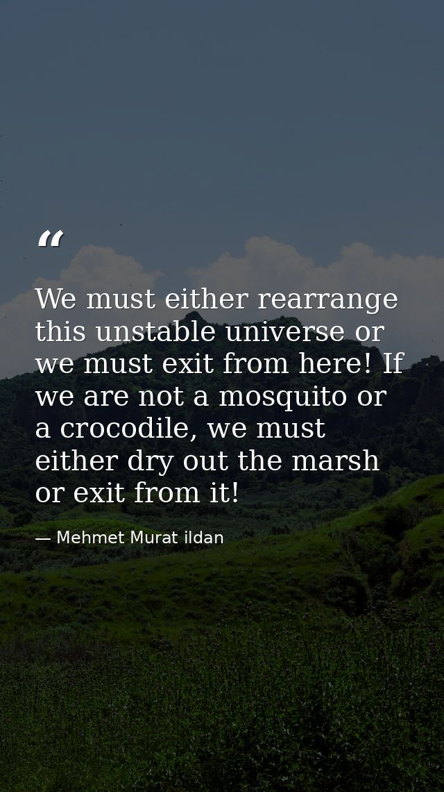 We must either rearrange this unstable universe or we must exit from here! If we are not a mosquito or a crocodile, we m — Mehmet Murat ildan