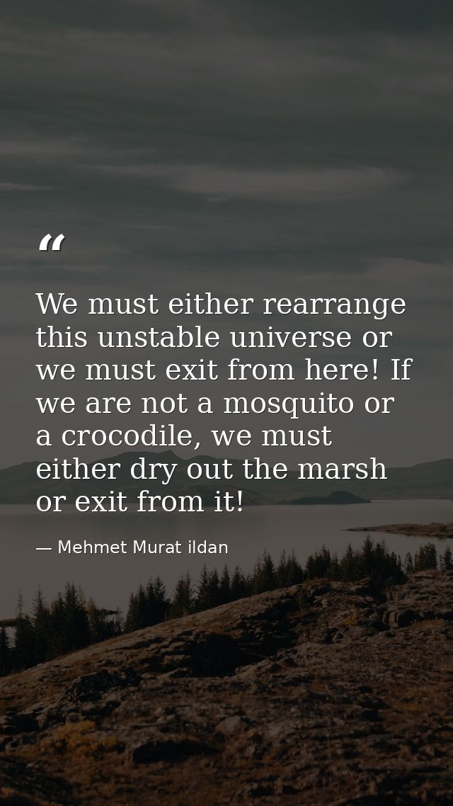 We must either rearrange this unstable universe or we must exit from here! If we are not a mosquito or a crocodile, we m — Mehmet Murat ildan
