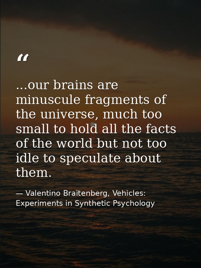 ...our brains are minuscule fragments of the universe, much too small to hold all the facts of the world but not too idl — Valentino Braitenberg, Vehicles: Experiments in Synthetic Psychology