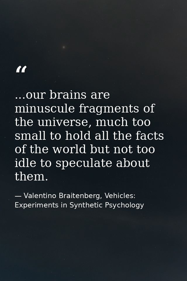 ...our brains are minuscule fragments of the universe, much too small to hold all the facts of the world but not too idl — Valentino Braitenberg, Vehicles: Experiments in Synthetic Psychology