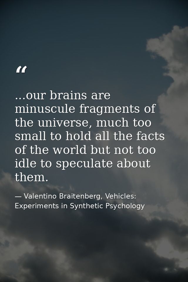 ...our brains are minuscule fragments of the universe, much too small to hold all the facts of the world but not too idl — Valentino Braitenberg, Vehicles: Experiments in Synthetic Psychology