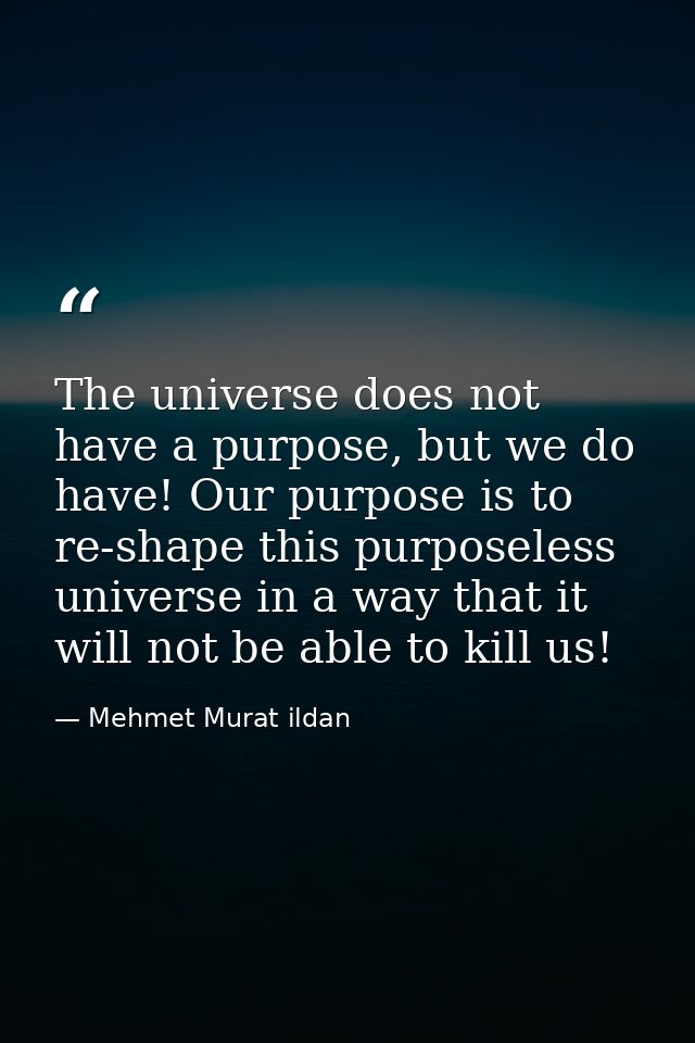 The universe does not have a purpose, but we do have! Our purpose is to re-shape this purposeless universe in a way that — Mehmet Murat ildan