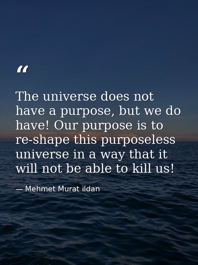 The universe does not have a purpose, but we do have! Our purpose is to re-shape this purposeless universe in a way that — Mehmet Murat ildan