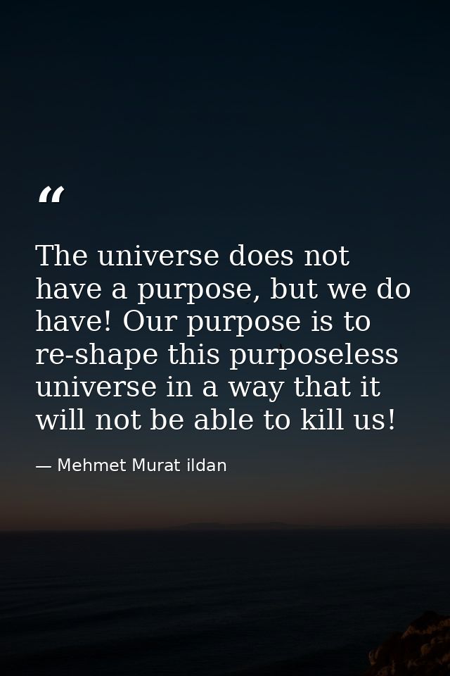 The universe does not have a purpose, but we do have! Our purpose is to re-shape this purposeless universe in a way that — Mehmet Murat ildan