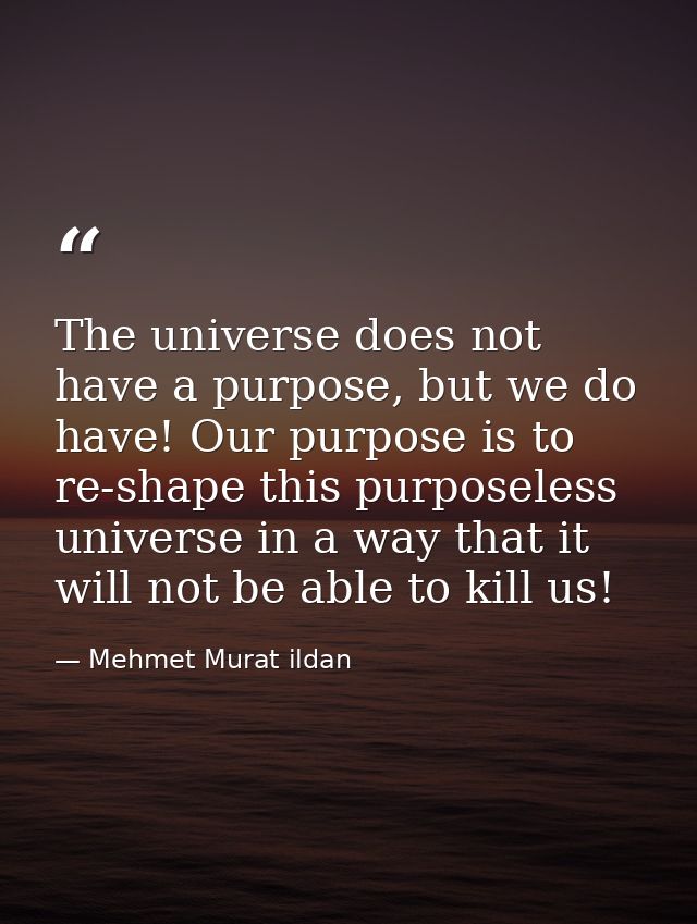 The universe does not have a purpose, but we do have! Our purpose is to re-shape this purposeless universe in a way that — Mehmet Murat ildan