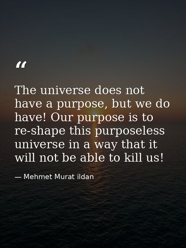 The universe does not have a purpose, but we do have! Our purpose is to re-shape this purposeless universe in a way that — Mehmet Murat ildan