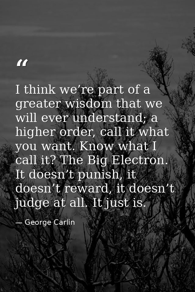 I think we’re part of a greater wisdom that we will ever understand; a higher order, call it what you want. Know what I  — George Carlin