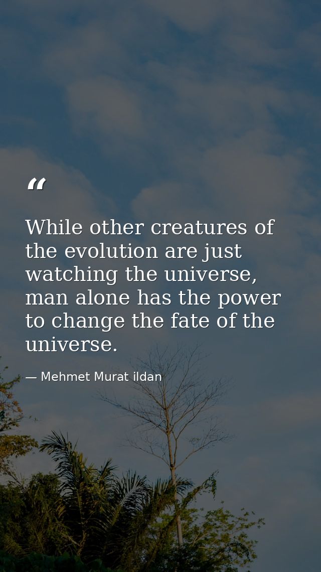 While other creatures of the evolution are just watching the universe, man alone has the power to change the fate of the — Mehmet Murat ildan