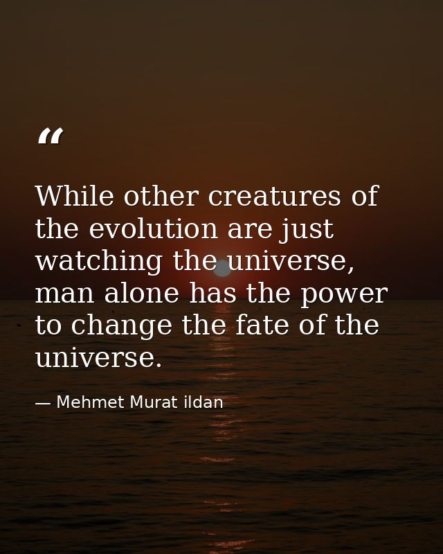 While other creatures of the evolution are just watching the universe, man alone has the power to change the fate of the — Mehmet Murat ildan