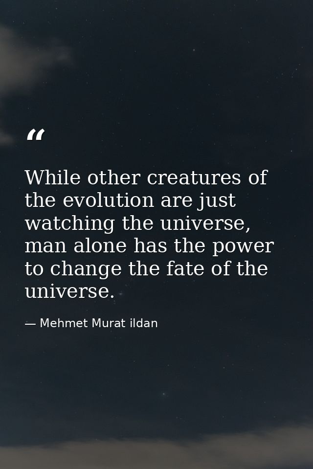 While other creatures of the evolution are just watching the universe, man alone has the power to change the fate of the — Mehmet Murat ildan