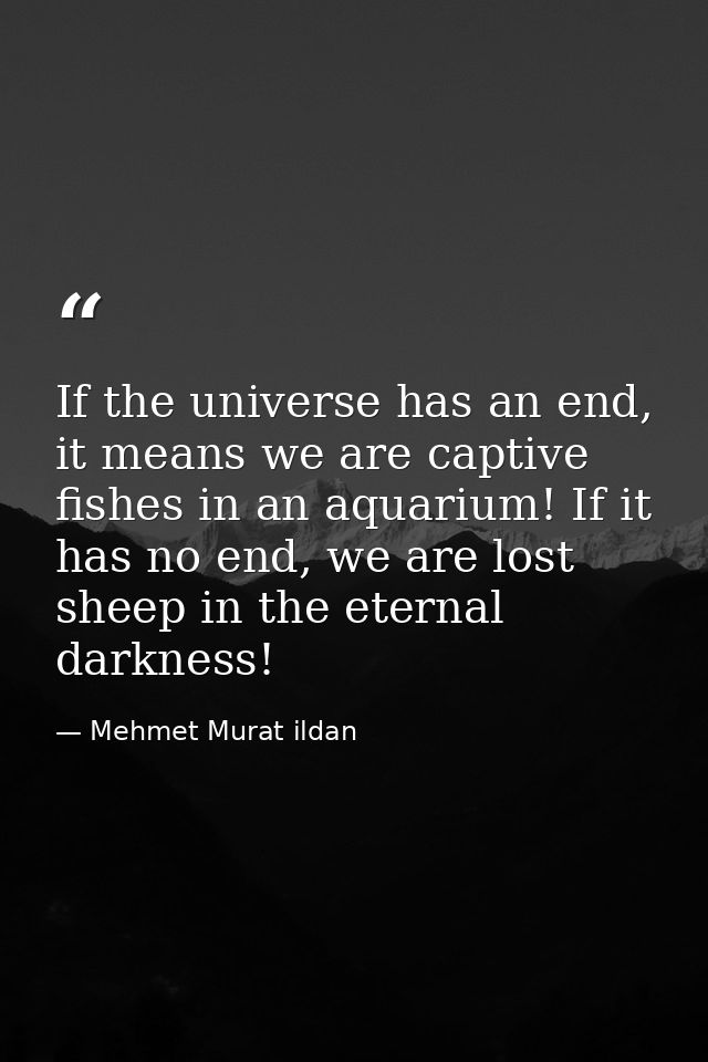 If the universe has an end, it means we are captive fishes in an aquarium! If it has no end, we are lost sheep in the et — Mehmet Murat ildan