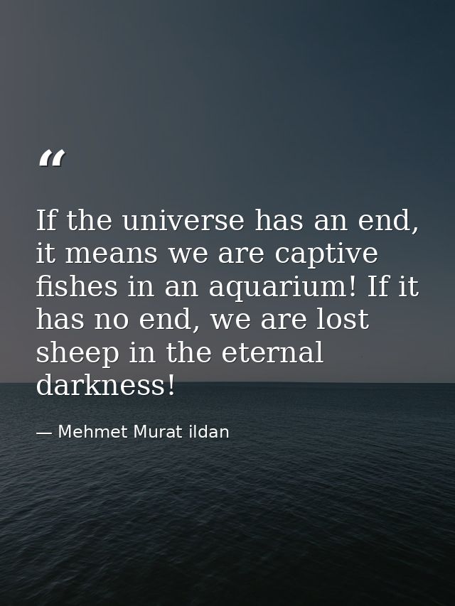 If the universe has an end, it means we are captive fishes in an aquarium! If it has no end, we are lost sheep in the et — Mehmet Murat ildan