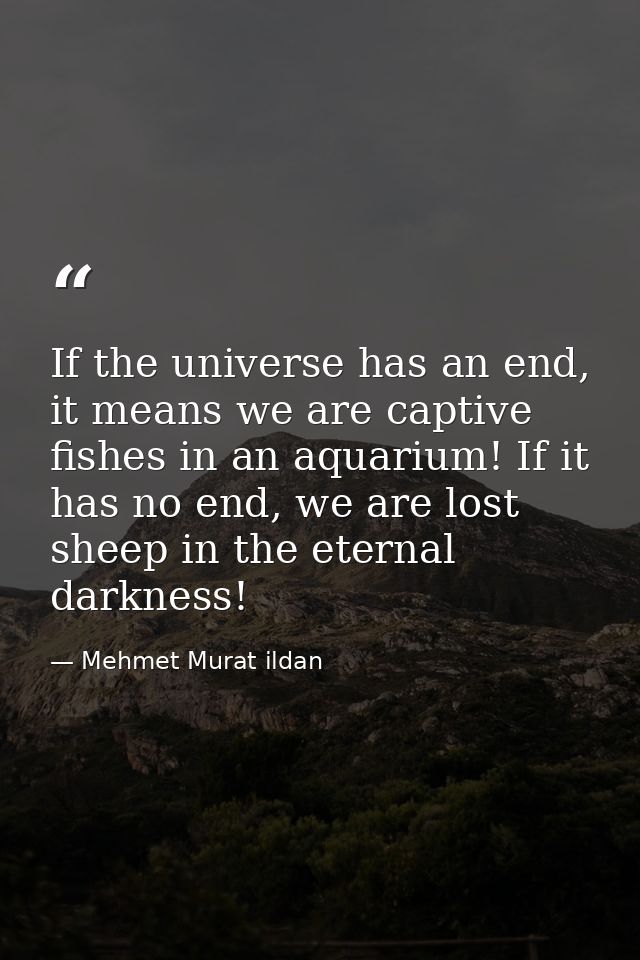 If the universe has an end, it means we are captive fishes in an aquarium! If it has no end, we are lost sheep in the et — Mehmet Murat ildan