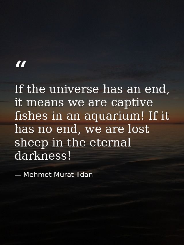 If the universe has an end, it means we are captive fishes in an aquarium! If it has no end, we are lost sheep in the et — Mehmet Murat ildan