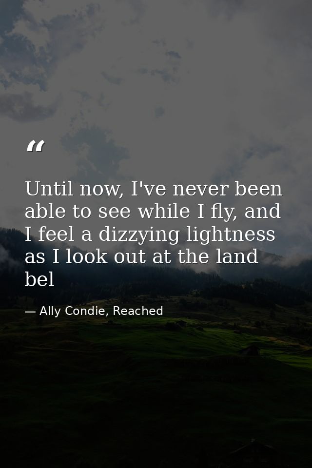 Until now, I've never been able to see while I fly, and I feel a dizzying lightness as I look out at the land bel — Ally Condie, Reached