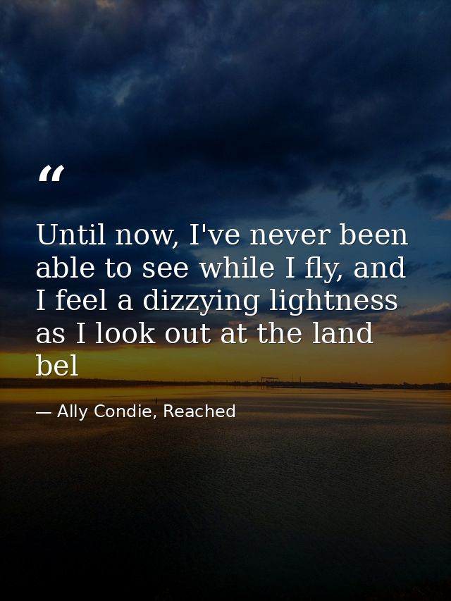 Until now, I've never been able to see while I fly, and I feel a dizzying lightness as I look out at the land bel — Ally Condie, Reached