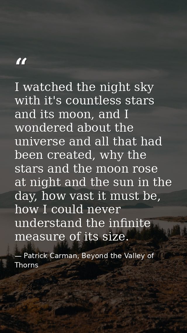 I watched the night sky with it's countless stars and its moon, and I wondered about the universe and all that had been  — Patrick Carman, Beyond the Valley of Thorns