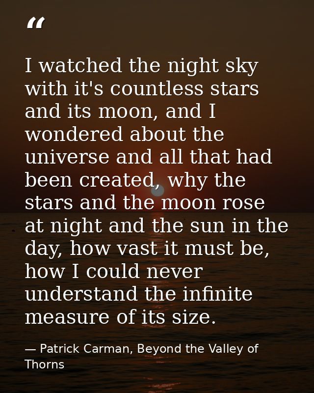 I watched the night sky with it's countless stars and its moon, and I wondered about the universe and all that had been  — Patrick Carman, Beyond the Valley of Thorns