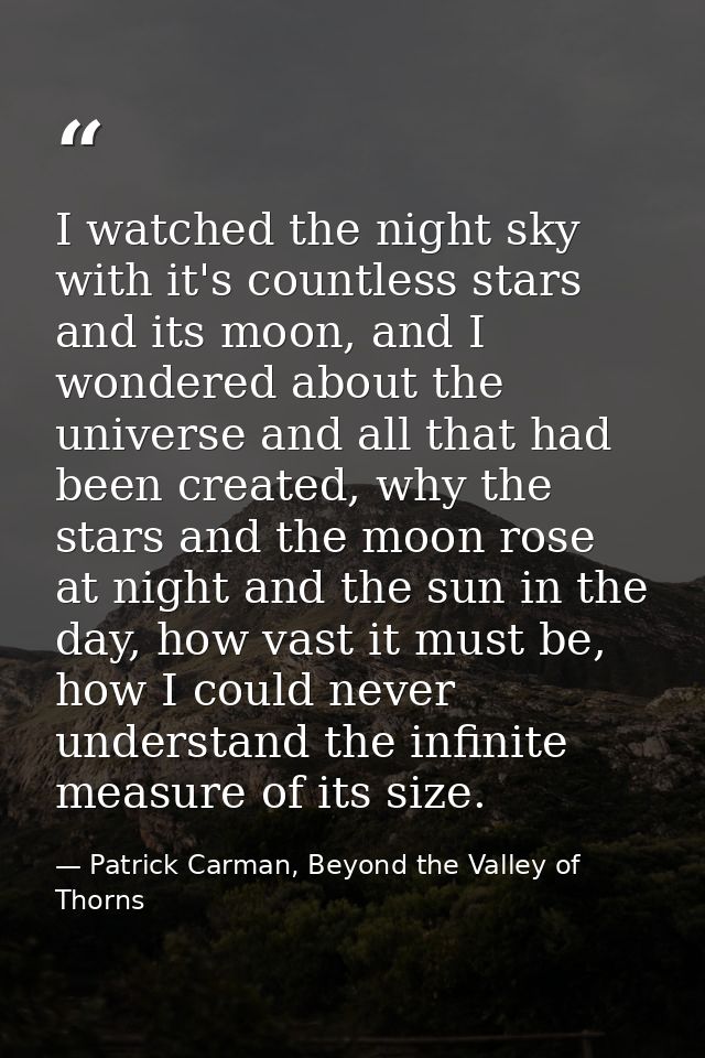 I watched the night sky with it's countless stars and its moon, and I wondered about the universe and all that had been  — Patrick Carman, Beyond the Valley of Thorns