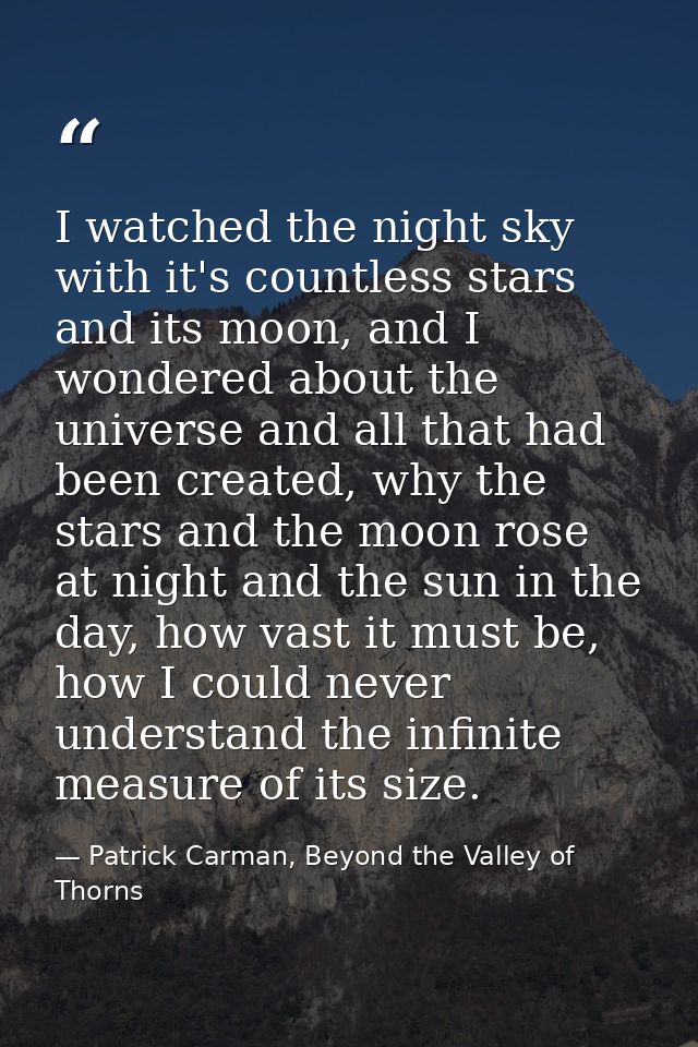 I watched the night sky with it's countless stars and its moon, and I wondered about the universe and all that had been  — Patrick Carman, Beyond the Valley of Thorns