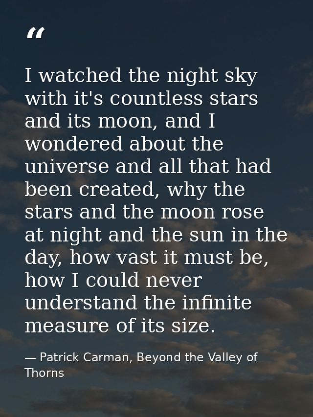 I watched the night sky with it's countless stars and its moon, and I wondered about the universe and all that had been  — Patrick Carman, Beyond the Valley of Thorns