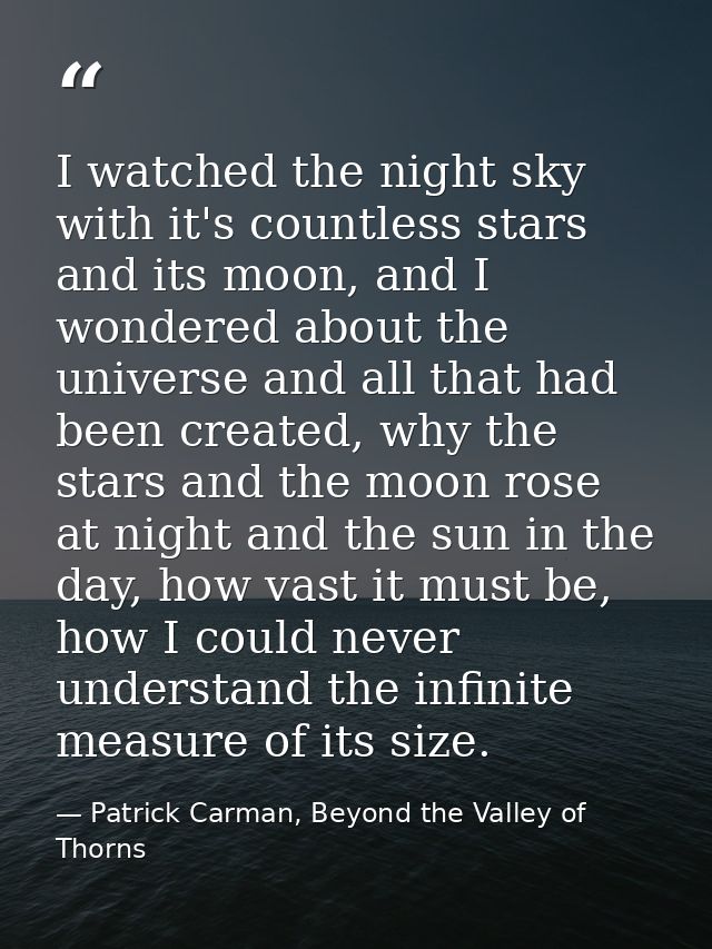 I watched the night sky with it's countless stars and its moon, and I wondered about the universe and all that had been  — Patrick Carman, Beyond the Valley of Thorns