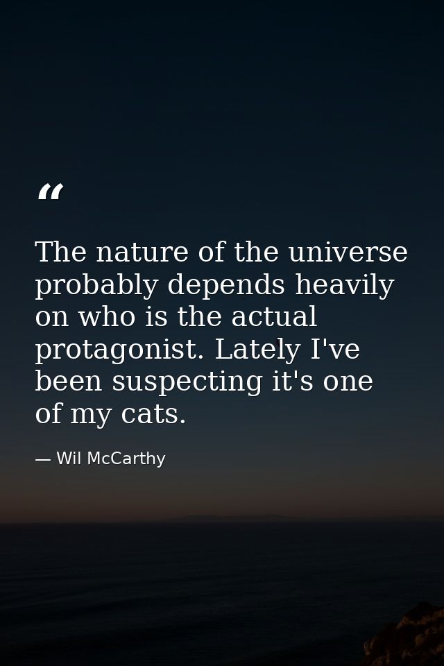 The nature of the universe probably depends heavily on who is the actual protagonist. Lately I've been suspecting it's o — Wil McCarthy