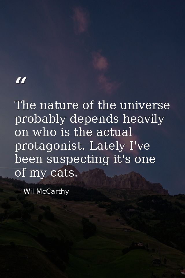 The nature of the universe probably depends heavily on who is the actual protagonist. Lately I've been suspecting it's o — Wil McCarthy