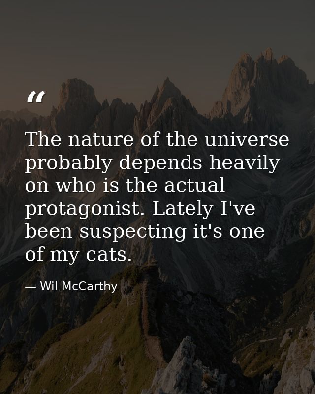 The nature of the universe probably depends heavily on who is the actual protagonist. Lately I've been suspecting it's o — Wil McCarthy