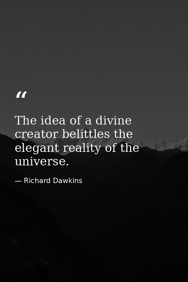 The idea of a divine creator belittles the elegant reality of the universe. — Richard Dawkins