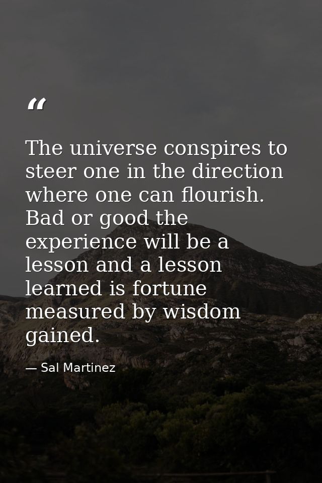 The universe conspires to steer one in the direction where one can flourish. Bad or good the experience will be a lesson — Sal Martinez