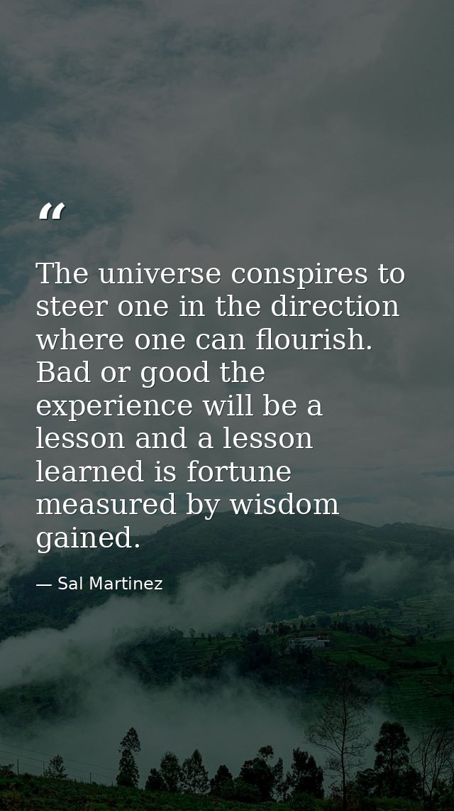 The universe conspires to steer one in the direction where one can flourish. Bad or good the experience will be a lesson — Sal Martinez