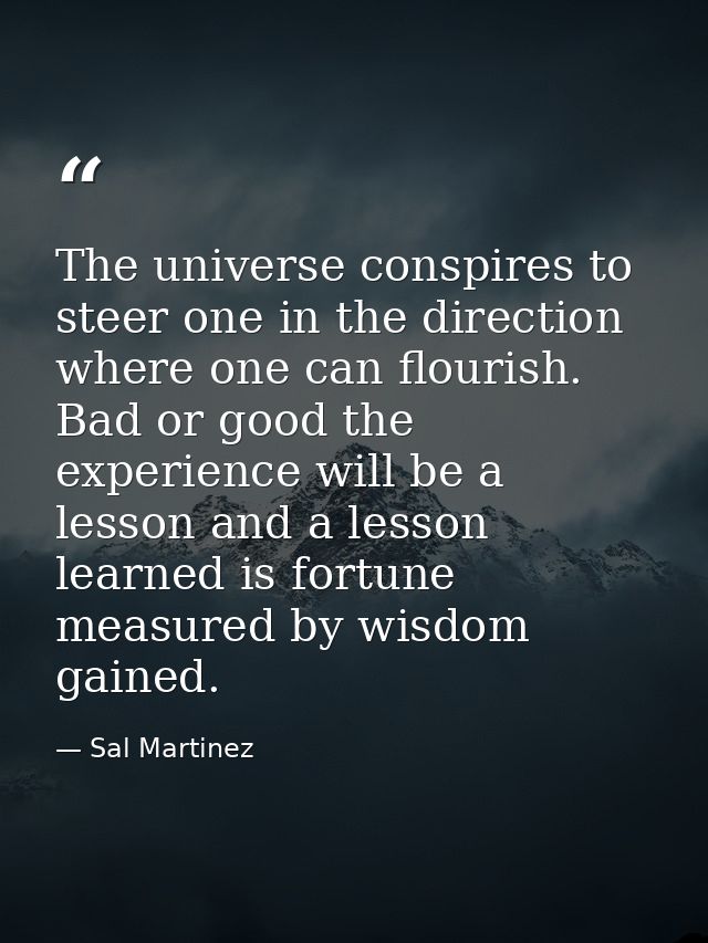 The universe conspires to steer one in the direction where one can flourish. Bad or good the experience will be a lesson — Sal Martinez
