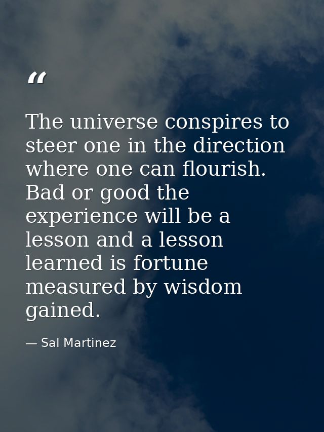 The universe conspires to steer one in the direction where one can flourish. Bad or good the experience will be a lesson — Sal Martinez