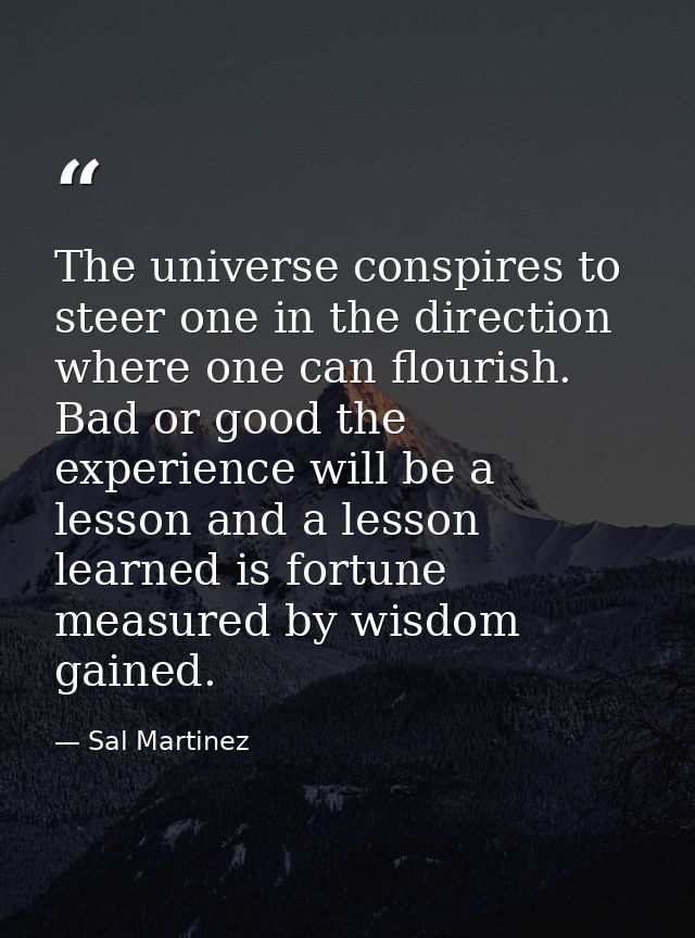 The universe conspires to steer one in the direction where one can flourish. Bad or good the experience will be a lesson — Sal Martinez