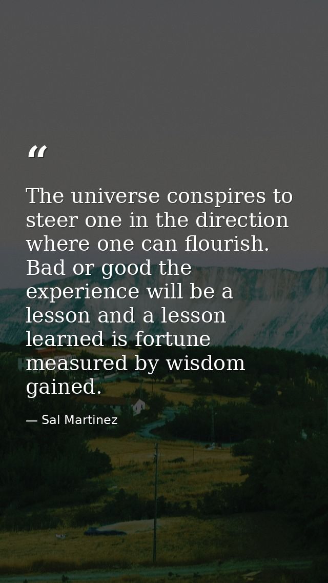 The universe conspires to steer one in the direction where one can flourish. Bad or good the experience will be a lesson — Sal Martinez