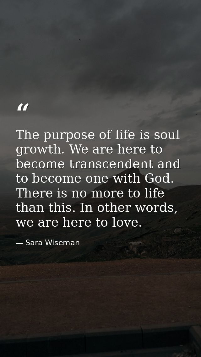 The purpose of life is soul growth. We are here to become transcendent and to become one with God. There is no more to l — Sara Wiseman