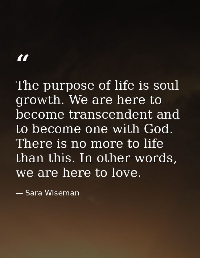 The purpose of life is soul growth. We are here to become transcendent and to become one with God. There is no more to l — Sara Wiseman