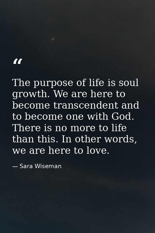 The purpose of life is soul growth. We are here to become transcendent and to become one with God. There is no more to l — Sara Wiseman