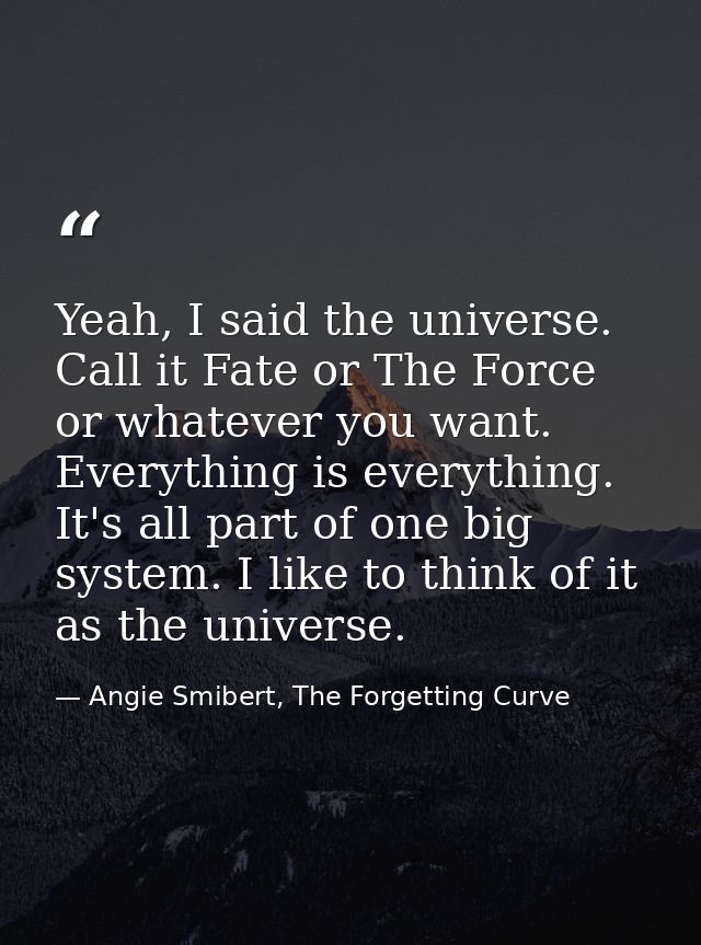 Yeah, I said the universe. Call it Fate or The Force or whatever you want. Everything is everything. It's all part of on — Angie Smibert, The Forgetting Curve