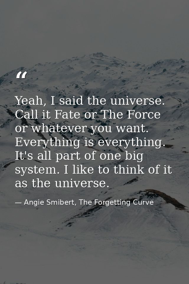 Yeah, I said the universe. Call it Fate or The Force or whatever you want. Everything is everything. It's all part of on — Angie Smibert, The Forgetting Curve