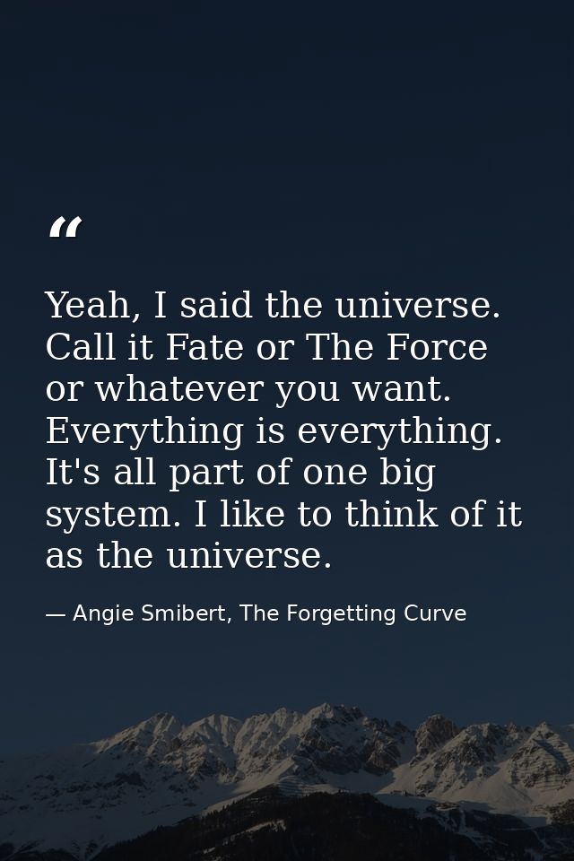 Yeah, I said the universe. Call it Fate or The Force or whatever you want. Everything is everything. It's all part of on — Angie Smibert, The Forgetting Curve