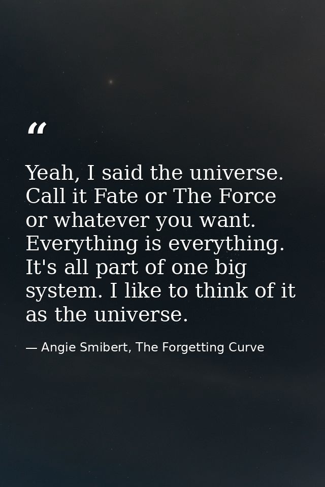 Yeah, I said the universe. Call it Fate or The Force or whatever you want. Everything is everything. It's all part of on — Angie Smibert, The Forgetting Curve