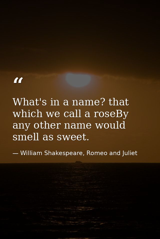 What's in a name? that which we call a roseBy any other name would smell as sweet. — William Shakespeare, Romeo and Juliet
